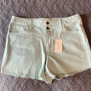 NWT Universal Thread light green Vintage MIDI High Rise Short